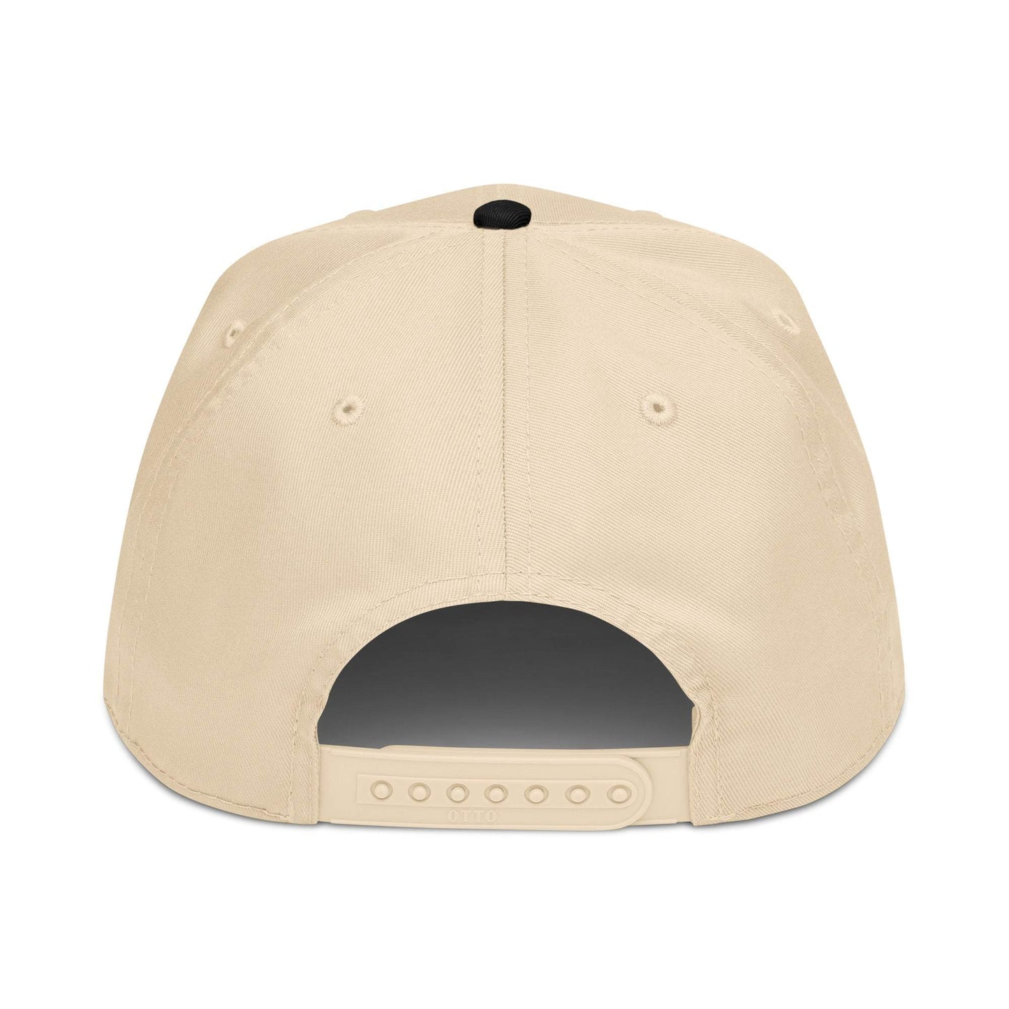5 panel cap Back