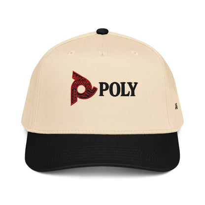 Poly 5 panel cap