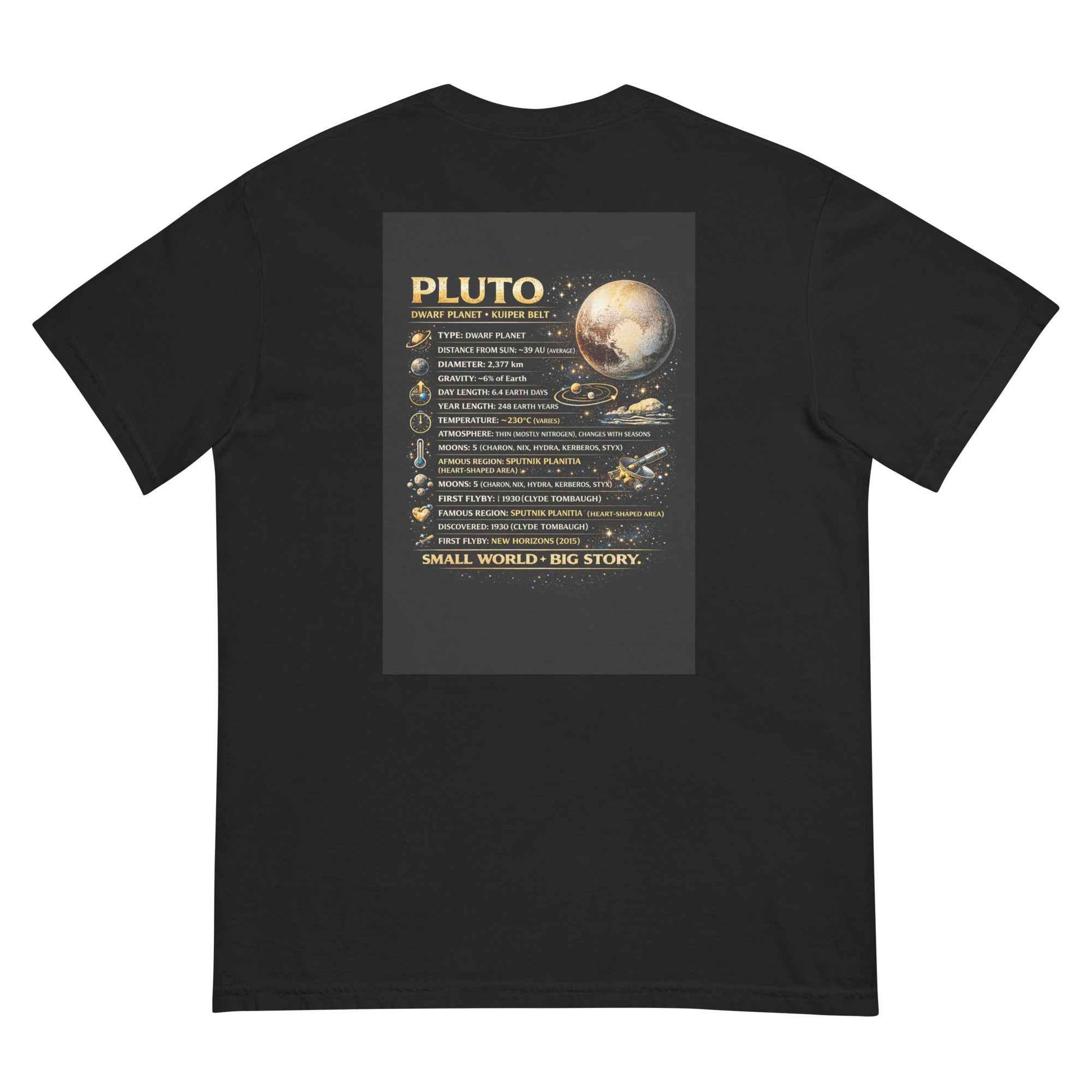 Pluto heavyweight t-shirt