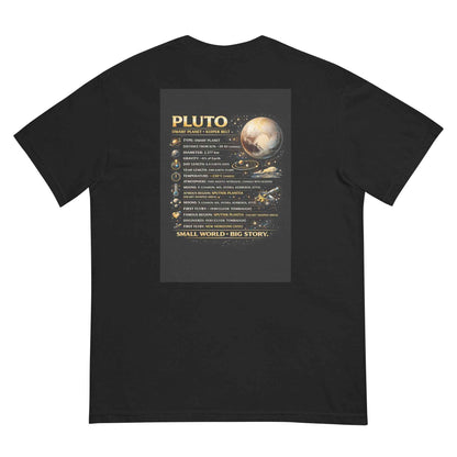 Pluto heavyweight t-shirt