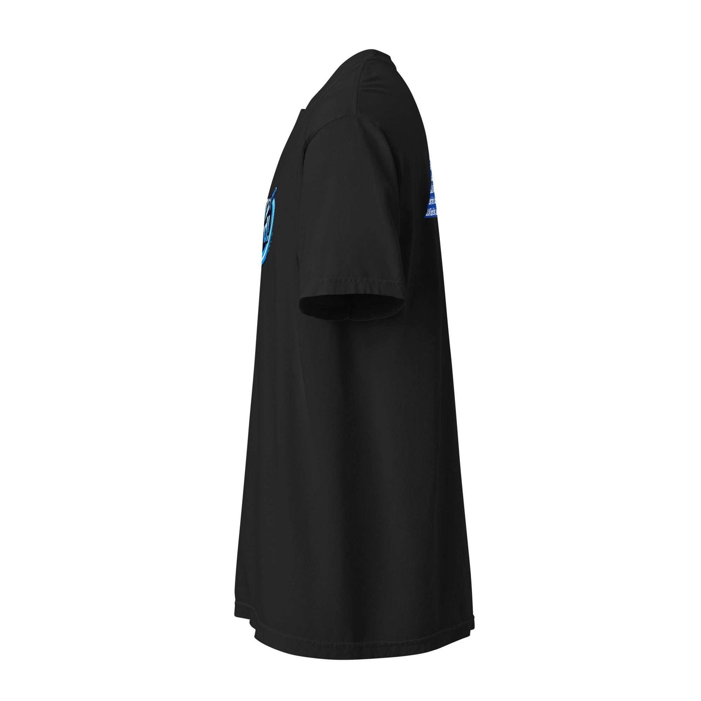 Black unisex Swing Your Sword Virginia T-shirt celebrating Virginia HBCU pride and legacy