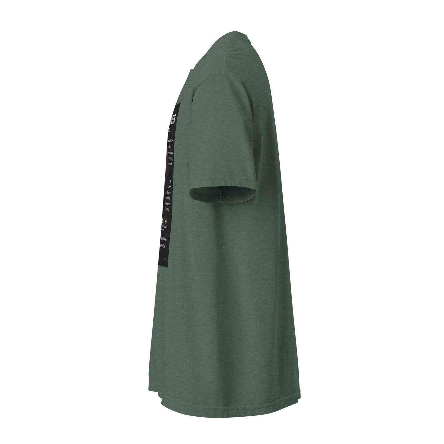 Exoplanet Info Unisex garment-dyed heavyweight t-shirt