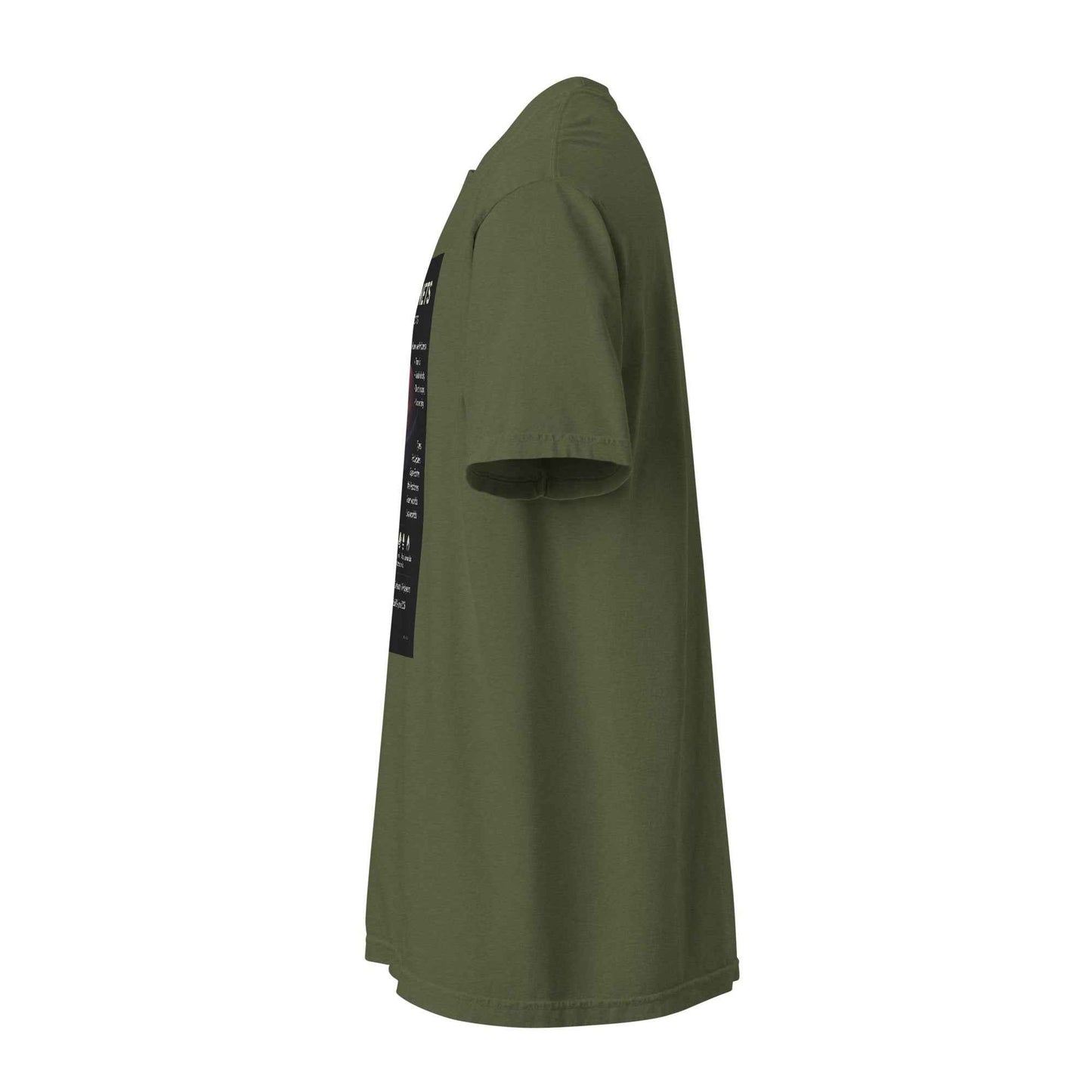 Exoplanet Info Unisex garment-dyed heavyweight t-shirt