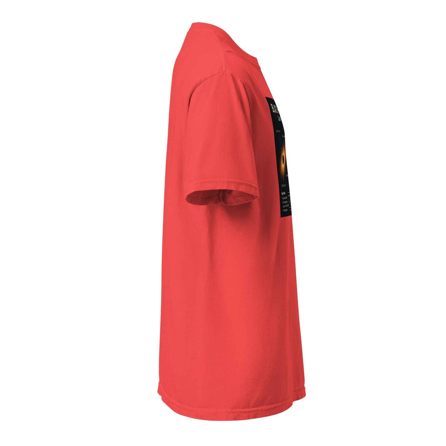 Blackhole facts Unisex garment-dyed heavyweight t-shirt