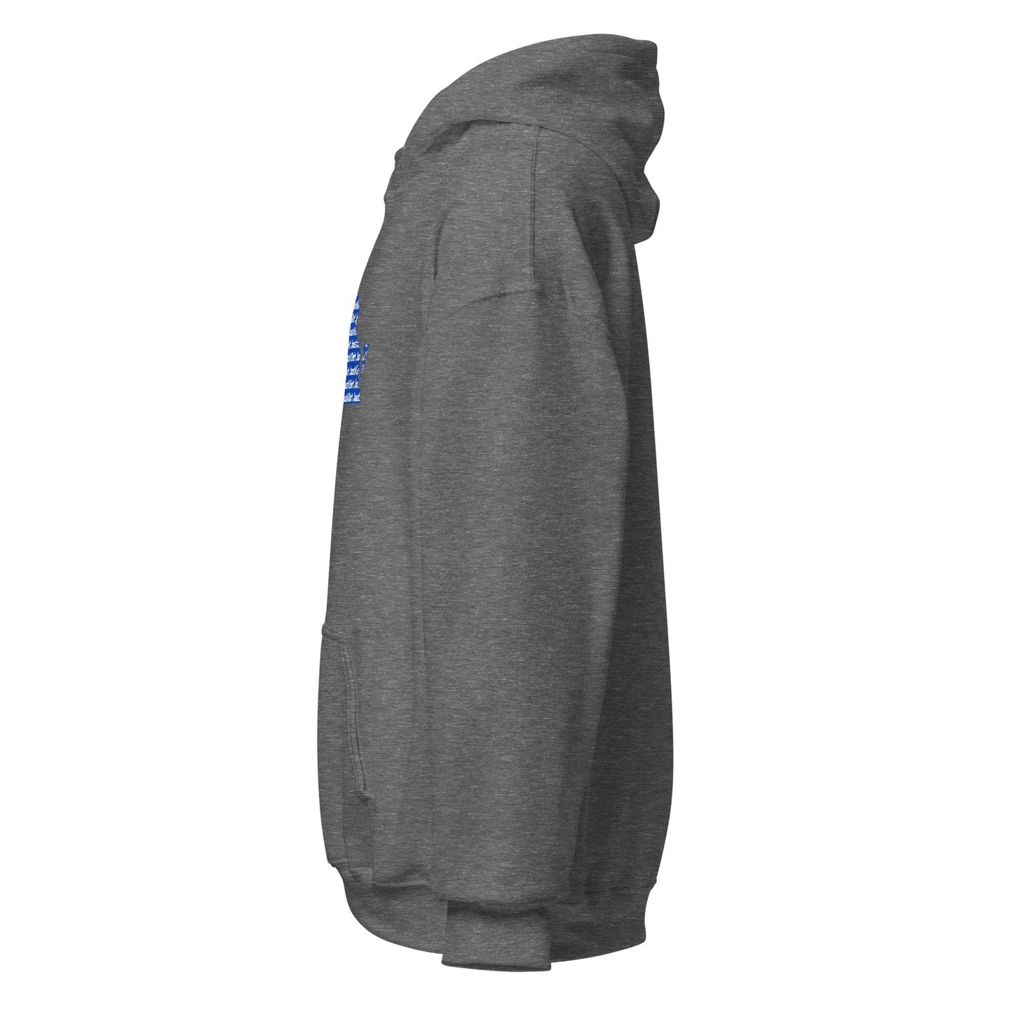 Side view of gray Hampton Virginia unisex hoodie with front pocket and hood, made from soft durable fabric.